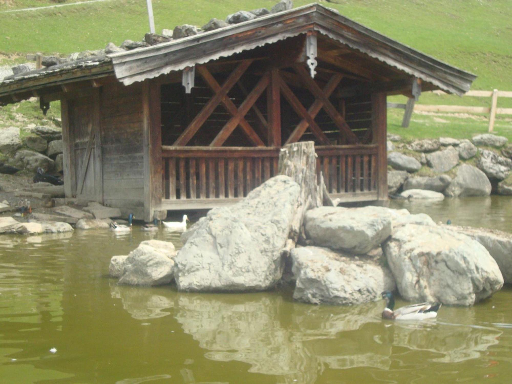 Apart Heim Fuegen Luaran gambar